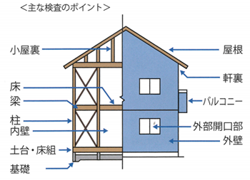 主な検査のポイント